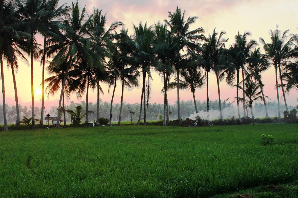 Bhuwana Ubud Hotel And Farming Eksteriør bilde