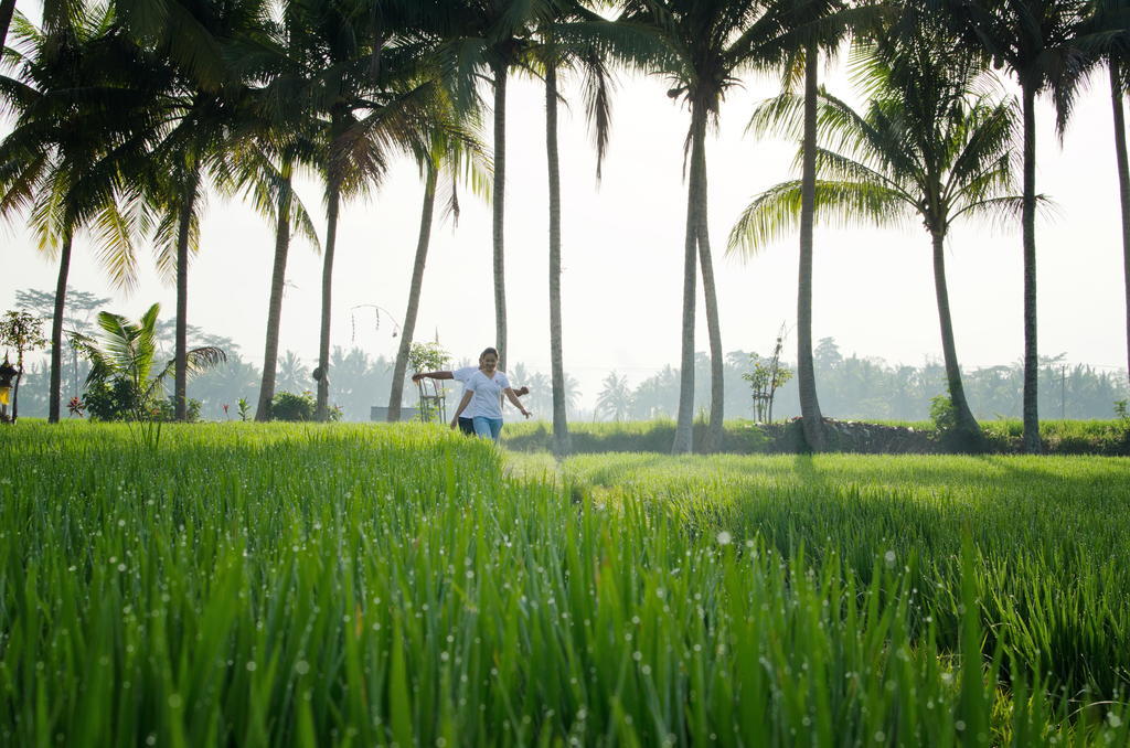 Bhuwana Ubud Hotel And Farming Eksteriør bilde